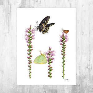 Butterflies on Blazing Star Wildflowers Art Print