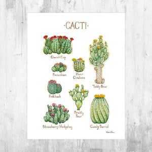Cacti Field Guide Art Print