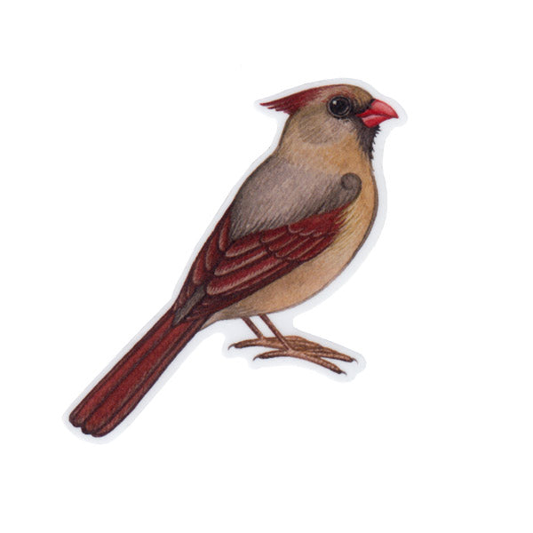 Northern Cardinal (Female) Vinyl Sticker