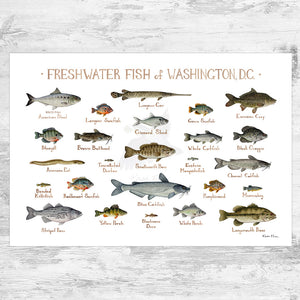 Washington, D.C. Freshwater Fish Field Guide Art Print
