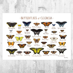 Georgia Butterflies Field Guide Art Print