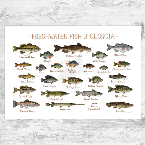 Georgia Freshwater Fish Field Guide Art Print
