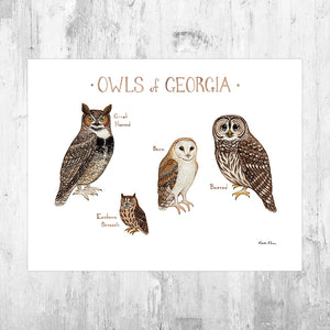 Georgia Owls Field Guide Art Print