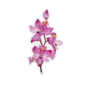 Grasspink Orchid Vinyl Sticker