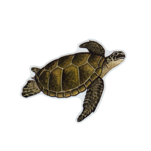 Green Sea Turtle Vinyl Sticker