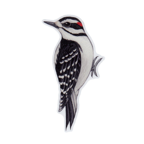 Woodpeckers All-Over Print XS-XL Capri Leggings – Kate Dolamore Art