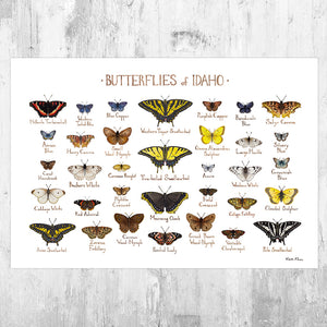 Idaho Butterflies Field Guide Art Print