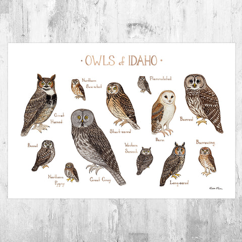 Idaho Owls Field Guide Art Print
