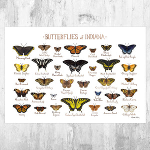 Indiana Butterflies Field Guide Art Print