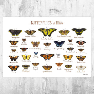 Iowa Butterflies Field Guide Art Print