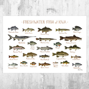 Iowa Freshwater Fish Field Guide Art Print