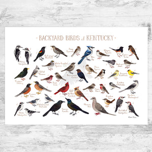 Kentucky Backyard Birds Field Guide Art Print