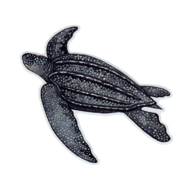 Leatherback Sea Turtle Vinyl Sticker