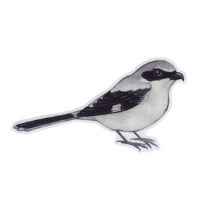 Loggerhead Shrike Vinyl Sticker – Kate Dolamore Art