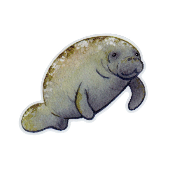 Manatee Vinyl Sticker