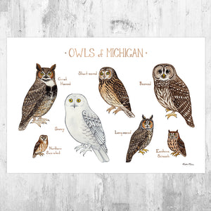 Michigan Owls Field Guide Art Print