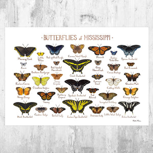 Mississippi Butterflies Field Guide Art Print