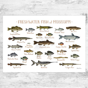 Mississippi Freshwater Fish Field Guide Art Print