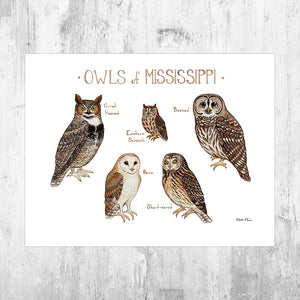 Mississippi Owls Field Guide Art Print