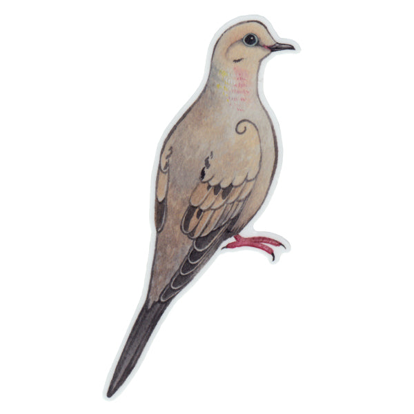 Mourning Dove Vinyl Sticker