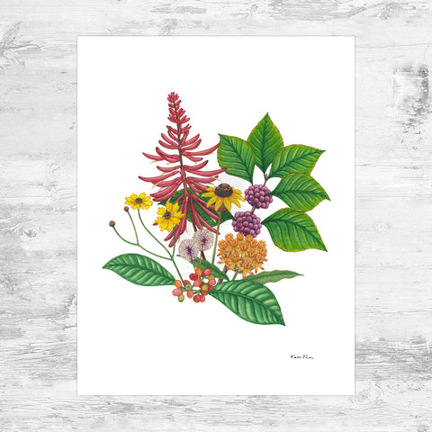 Florida Native Plant Bouquet Art Print