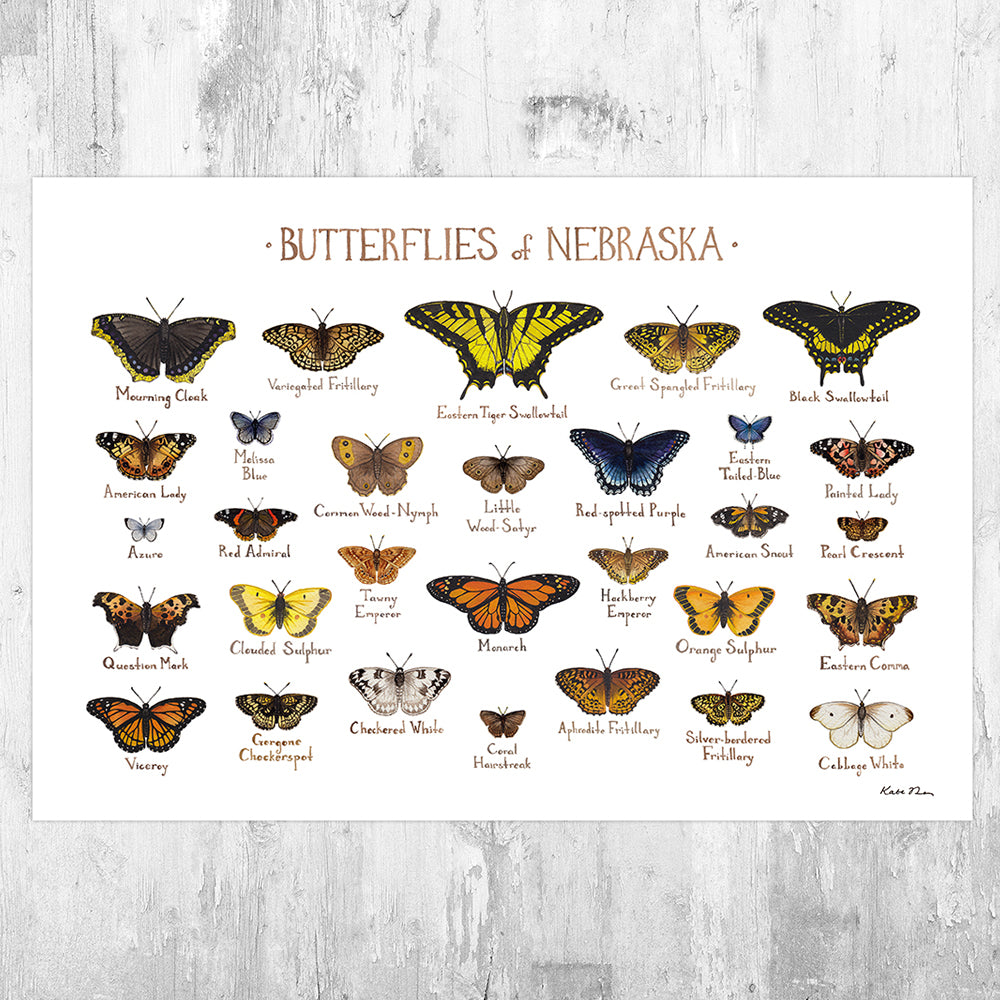 Nebraska Butterflies Field Guide Art Print