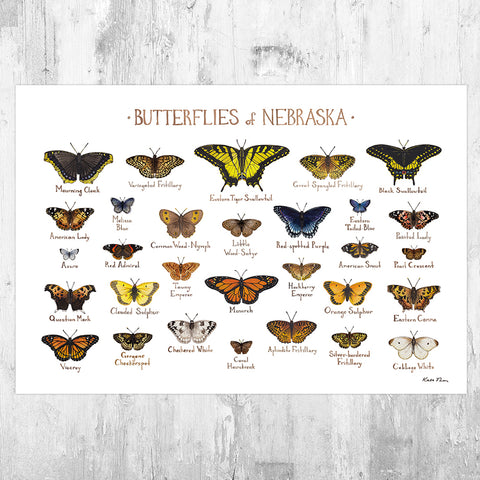 Nebraska Butterflies Field Guide Art Print