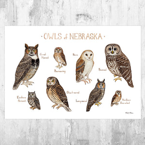 Nebraska Owls Field Guide Art Print