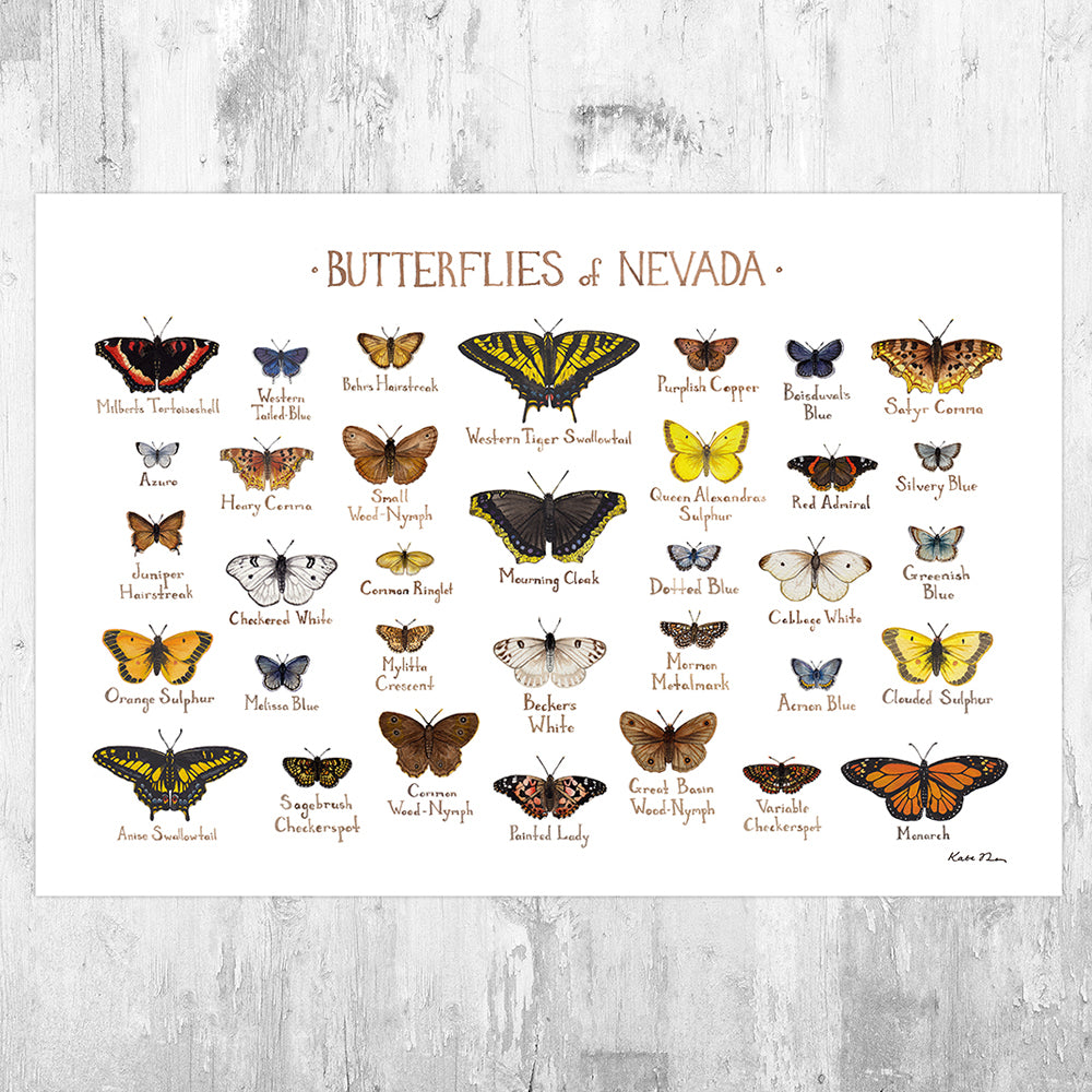 Nevada Butterflies Field Guide Art Print