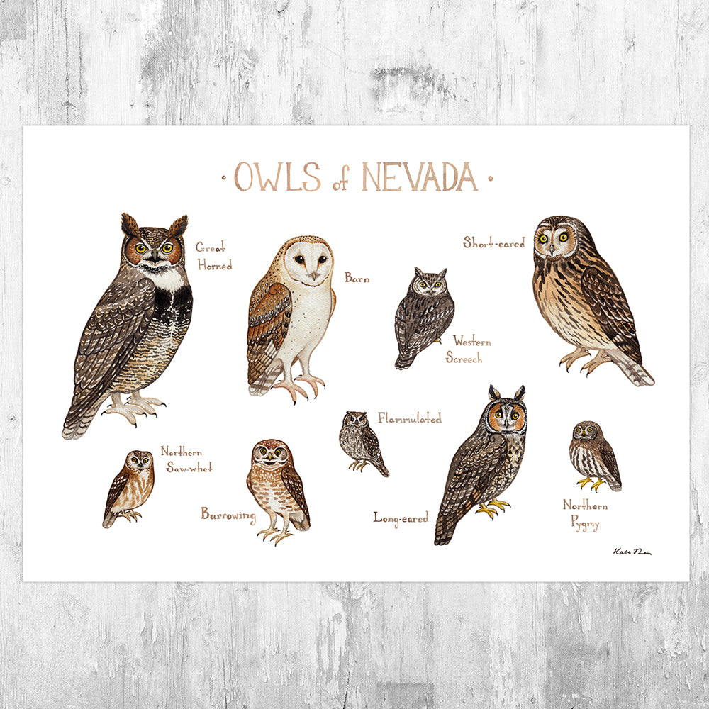 Nevada Owls Field Guide Art Print