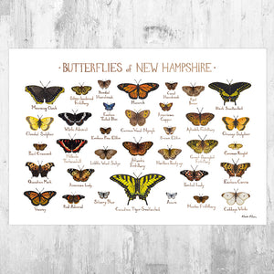New Hampshire Butterflies Field Guide Art Print