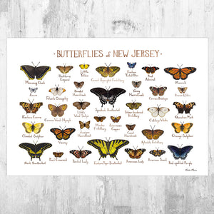 New Jersey Butterflies Field Guide Art Print