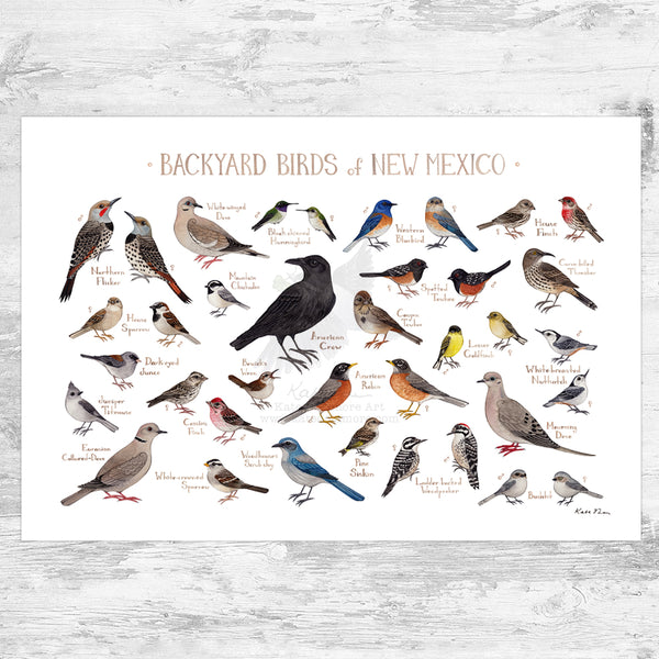 New Mexico Backyard Birds Field Guide Art Print