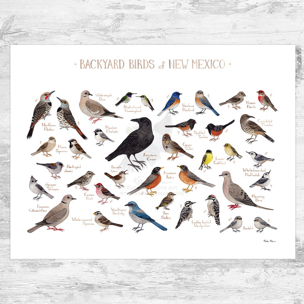 New Mexico Backyard Birds Field Guide Art Print