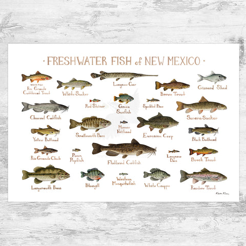 New Mexico Freshwater Fish Field Guide Art Print