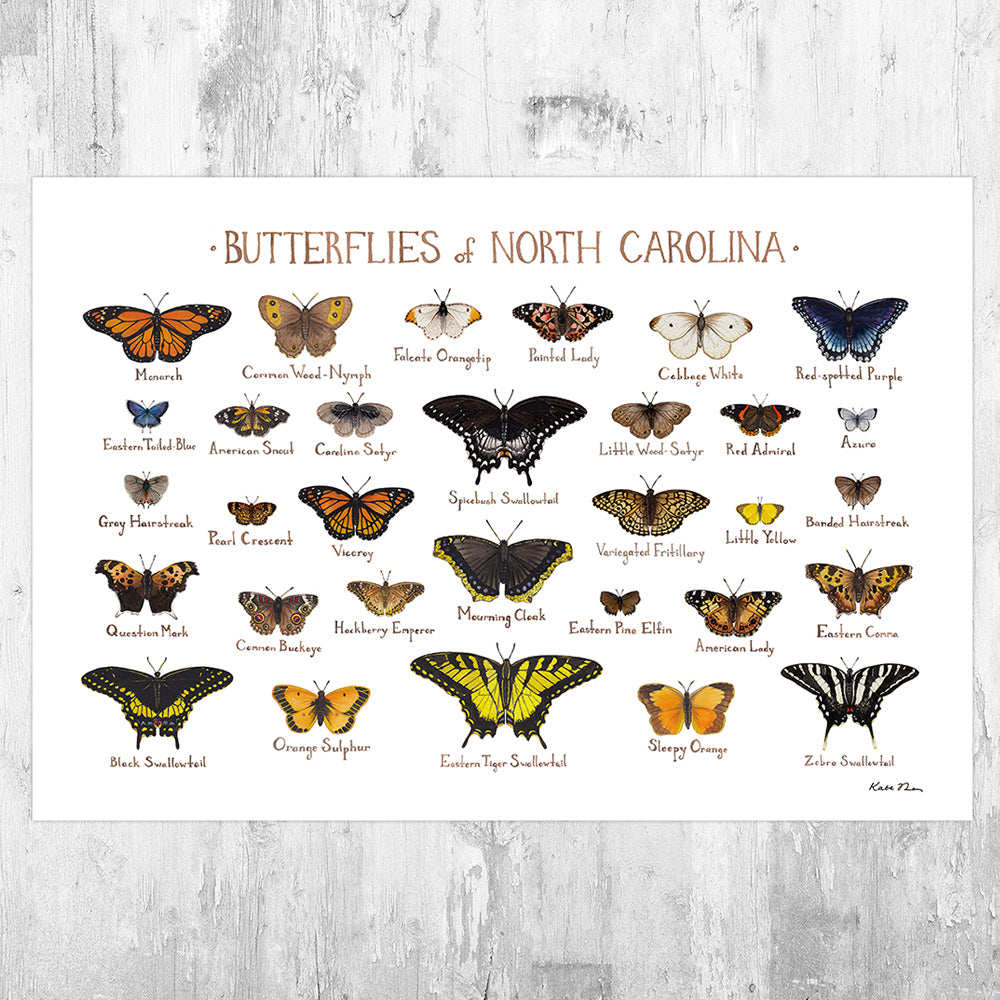 Printable North Carolina Feild Guide Printable North Carolina Feild Guide