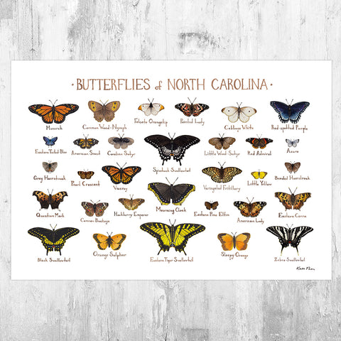 North Carolina Butterflies Field Guide Art Print