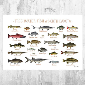 North Dakota Freshwater Fish Field Guide Art Print