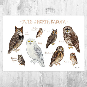 North Dakota Owls Field Guide Art Print