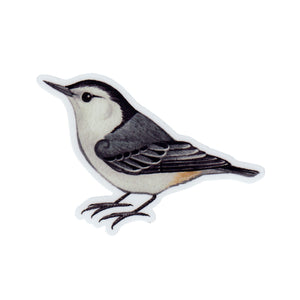 White-breasted Nuthatch Vinyl Sticker