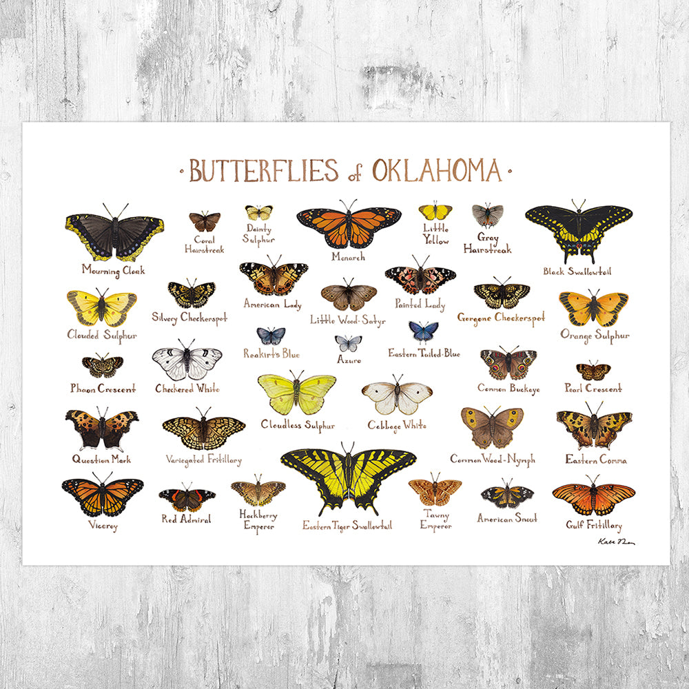 Oklahoma Butterflies Field Guide Art Print