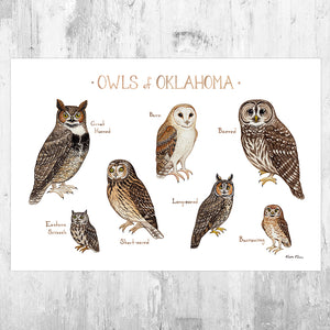 Oklahoma Owls Field Guide Art Print