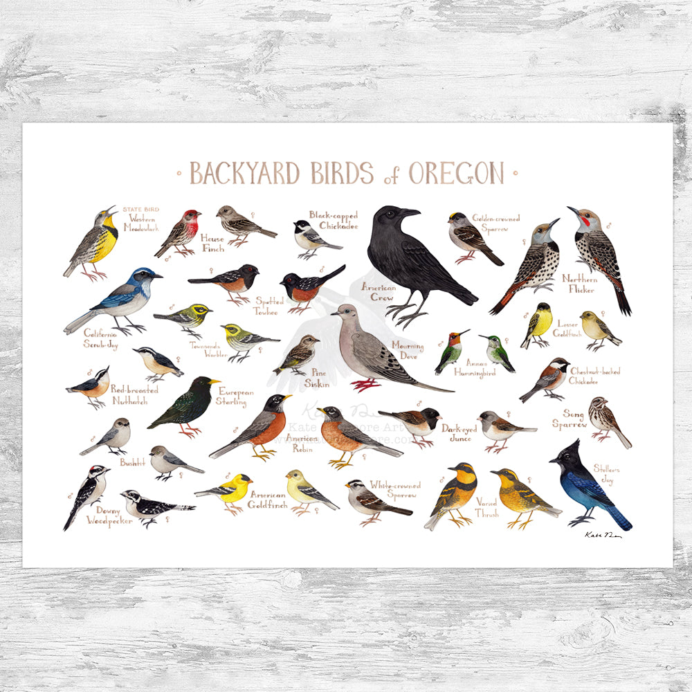 Oregon Backyard Birds Field Guide Art Print