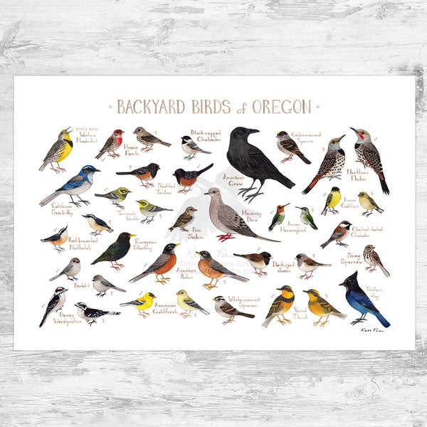 Oregon Backyard Birds Field Guide Art Print