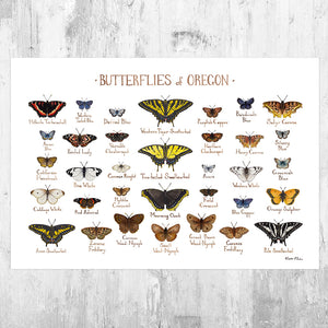 Oregon Butterflies Field Guide Art Print