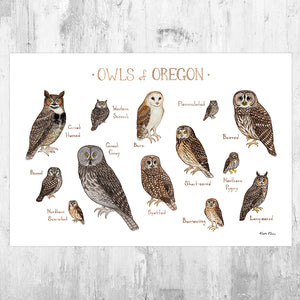 Oregon Owls Field Guide Art Print
