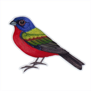 Painted Bunting (Male) Vinyl Sticker