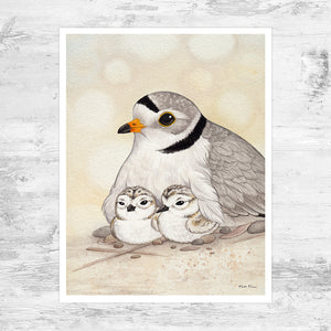 Piping Plover Family Art Print