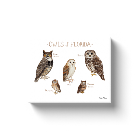 Florida Owls Ready to Hang Canvas Print