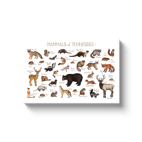 Tennessee Mammals Ready to Hang Canvas Print